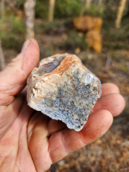 Polished Dendritic Opal DO218