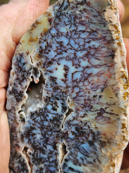 Polished Dendritic Opal DO218
