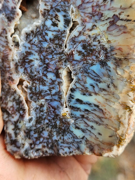 Polished Dendritic Opal DO218