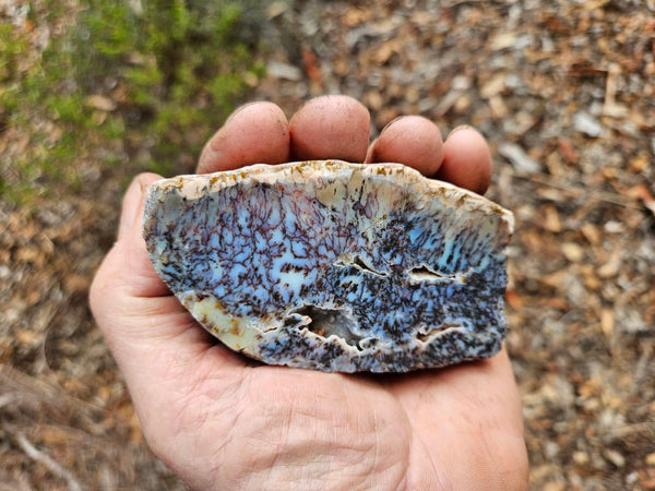 Polished Dendritic Opal DO218