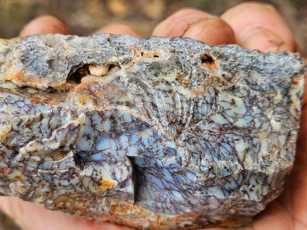Polished Dendritic Opal DO218