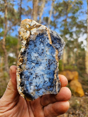 Polished Dendritic Opal DO219