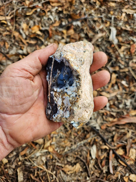 Polished Dendritic Opal DO219