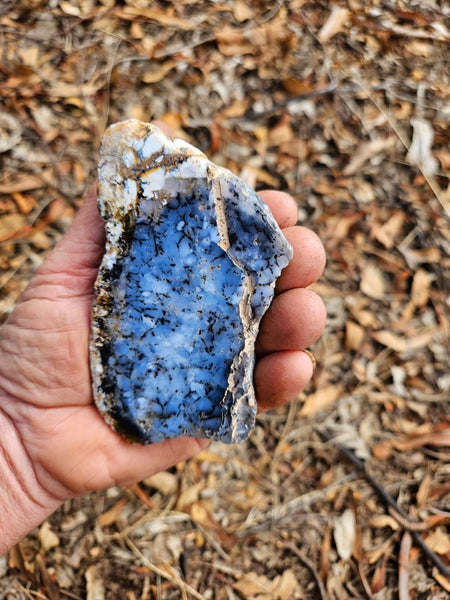 Polished Dendritic Opal DO219