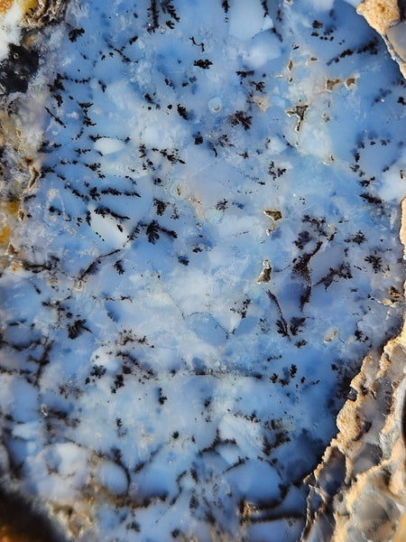 Polished Dendritic Opal DO219