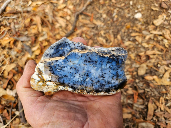 Polished Dendritic Opal DO219