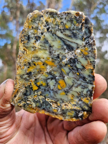 Polished Dendritic Opal slab DO217