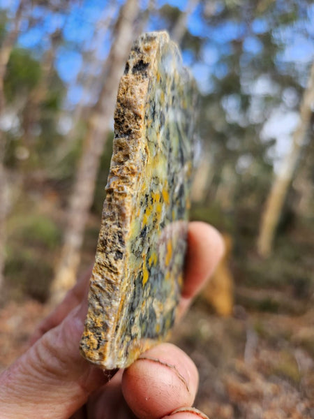 Polished Dendritic Opal slab DO217