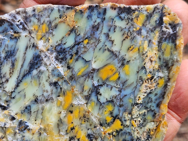 Polished Dendritic Opal slab DO217