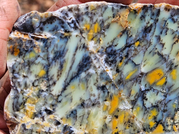 Polished Dendritic Opal slab DO217
