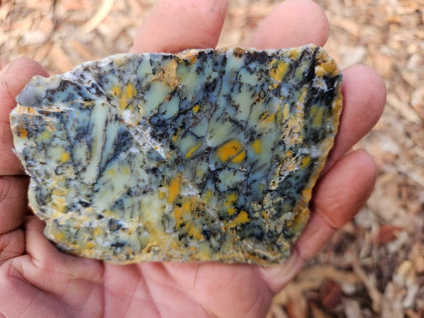 Polished Dendritic Opal slab DO217