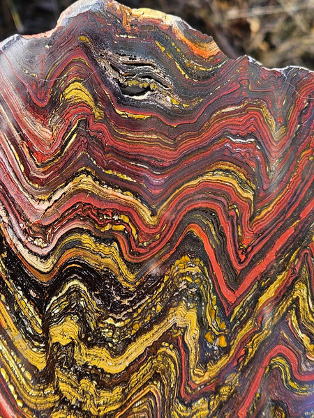 Polished Tiger Iron slab TI362