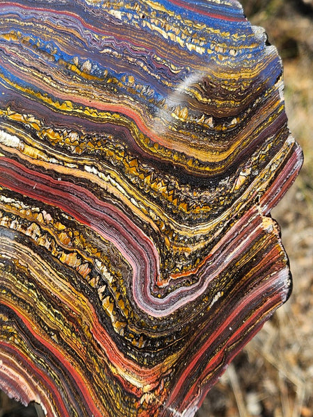 Polished Tiger Iron slab TI362