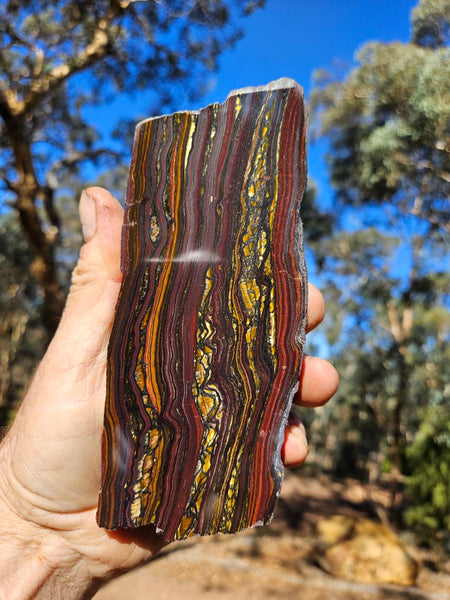 Polished Tiger Iron  TI366