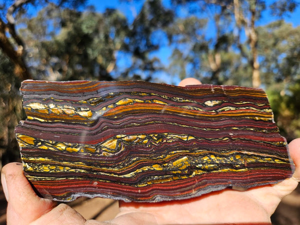 Polished Tiger Iron  TI366