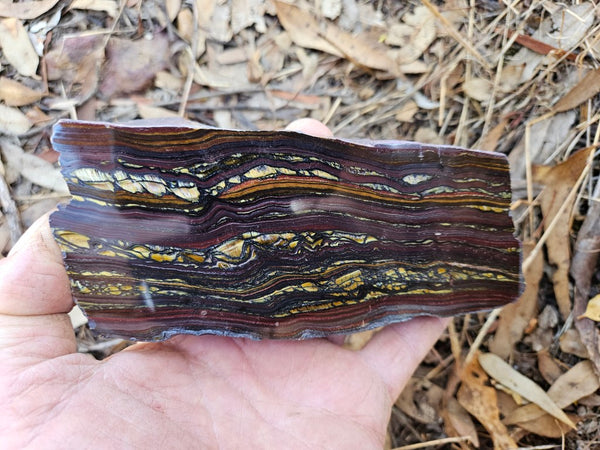Polished Tiger Iron  TI366
