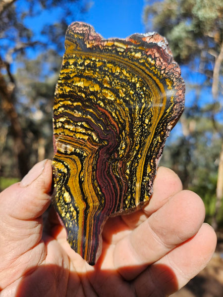 Polished Tiger Iron slab TI363