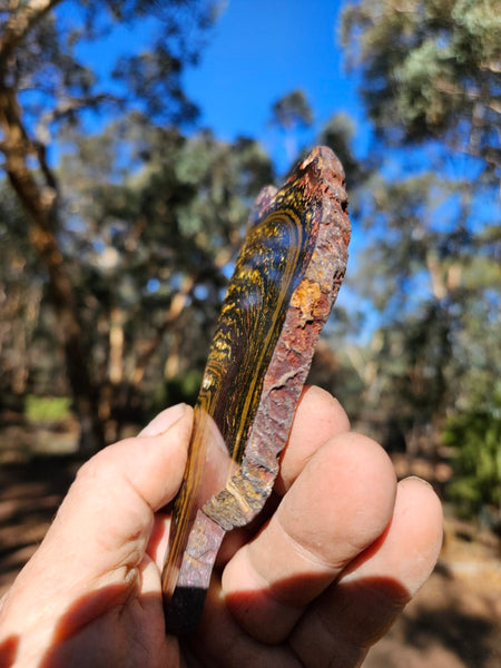 Polished Tiger Iron slab TI363