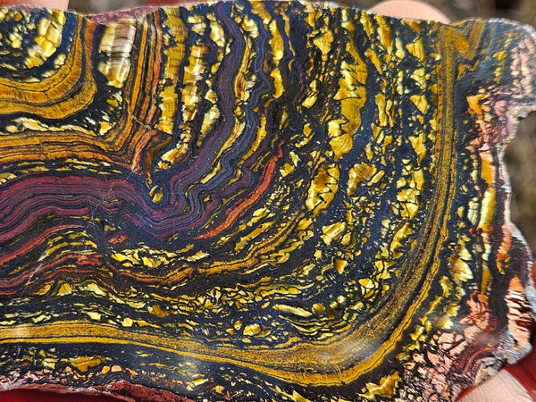 Polished Tiger Iron slab TI363