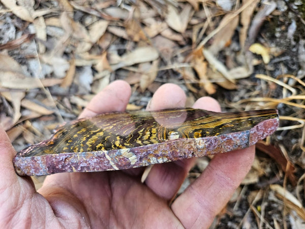 Polished Tiger Iron slab TI363