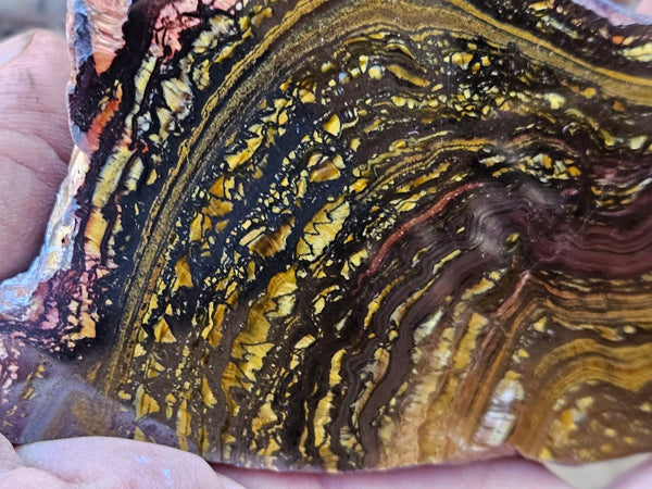 Polished Tiger Iron slab TI363