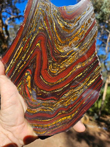 Polished Tiger Iron  TI367