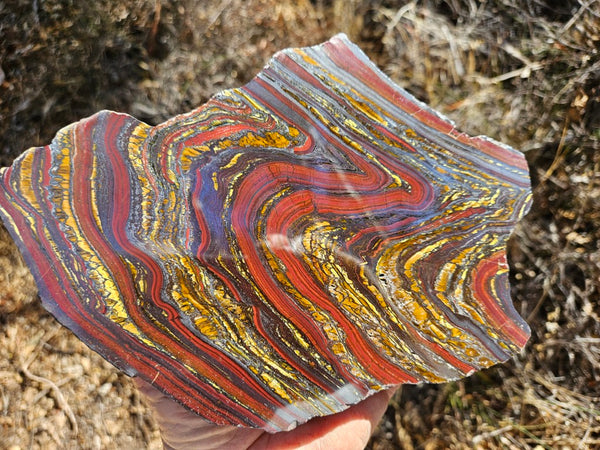 Polished Tiger Iron  TI367