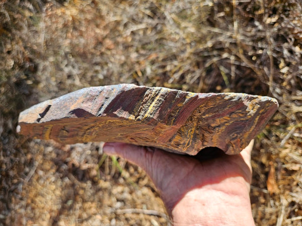Polished Tiger Iron  TI367