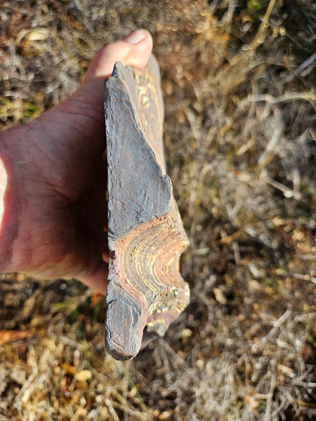 Polished Tiger Iron  TI367