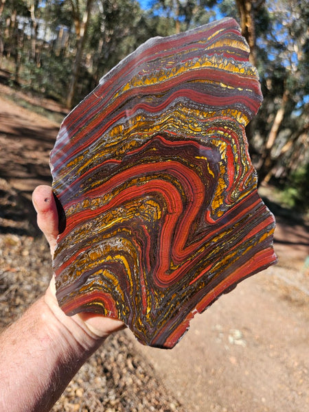 Polished Tiger Iron  TI367