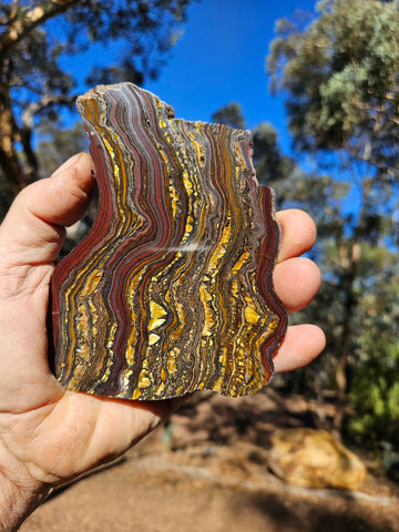 Polished Tiger Iron slab TI364