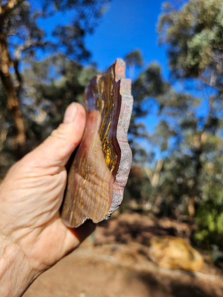 Polished Tiger Iron slab TI364