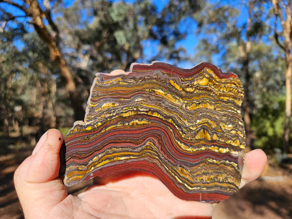 Polished Tiger Iron slab TI364