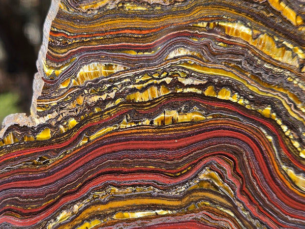 Polished Tiger Iron slab TI364