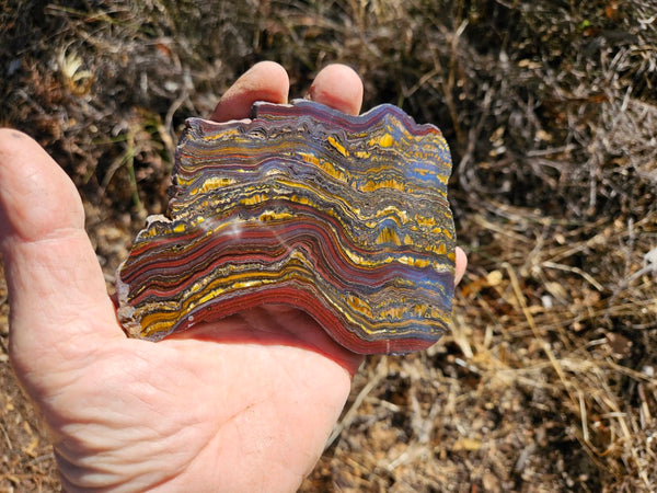 Polished Tiger Iron slab TI364