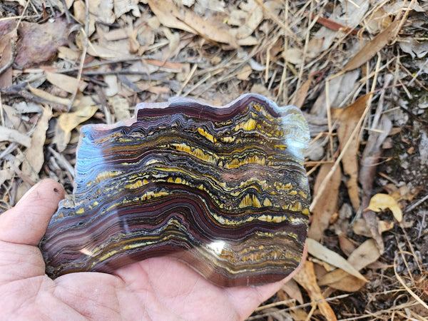 Polished Tiger Iron slab TI364