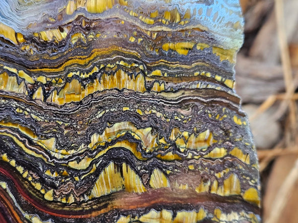 Polished Tiger Iron slab TI364