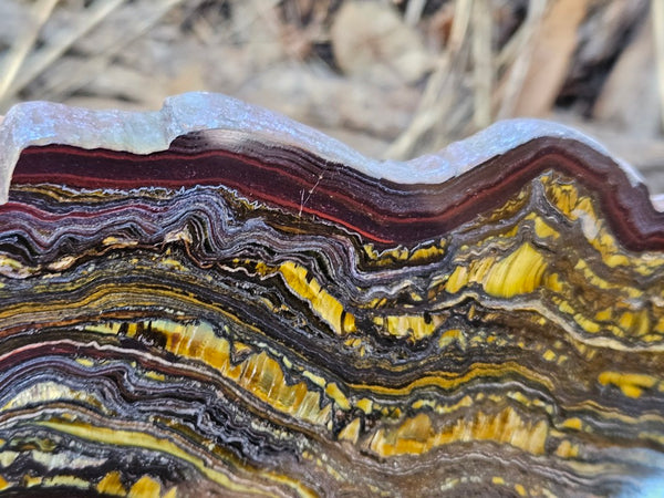 Polished Tiger Iron slab TI364