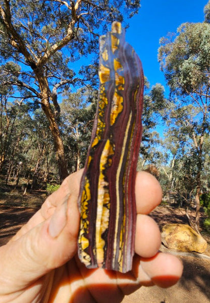 Polished Tiger Iron slab TI365