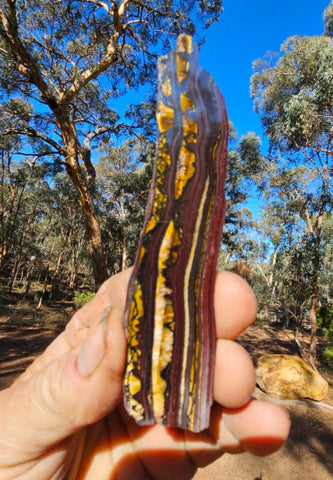 Polished Tiger Iron slab TI365