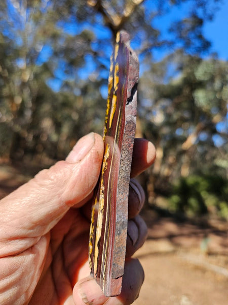 Polished Tiger Iron slab TI365