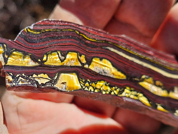 Polished Tiger Iron slab TI365