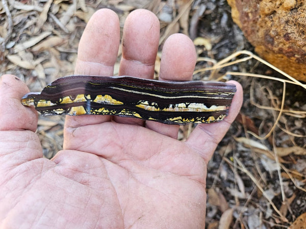 Polished Tiger Iron slab TI365