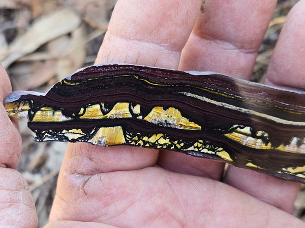 Polished Tiger Iron slab TI365