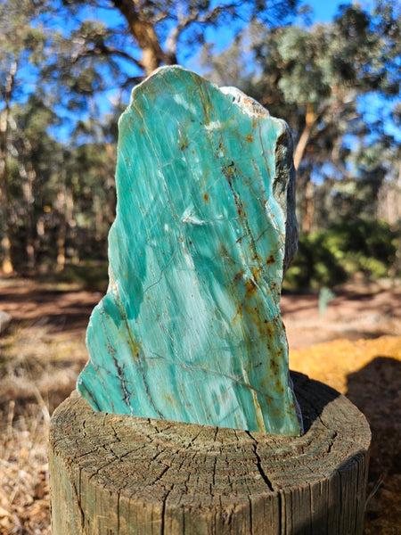 Polished Prase display specimen PS268