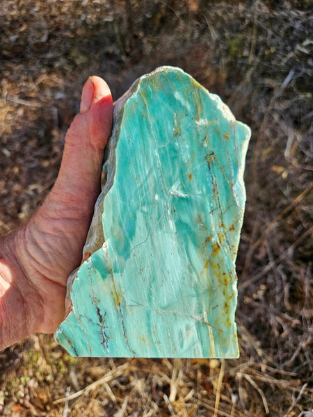 Polished Prase display specimen PS268