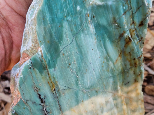 Polished Prase display specimen PS268