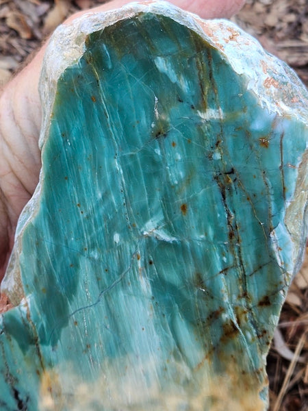 Polished Prase display specimen PS268