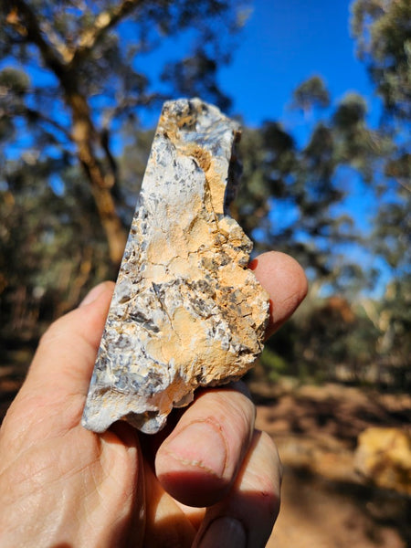 Polished Dendritic Opal DO220