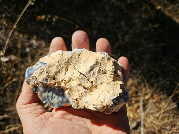 Polished Dendritic Opal DO220